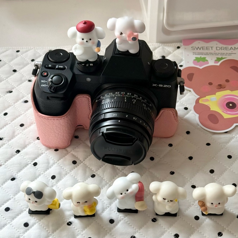 DIY ฝาครอบฮอตชูรูปสุนัขน่ารัก  - Sony Camera Zv-E10 บทวิจารณ์และราคา